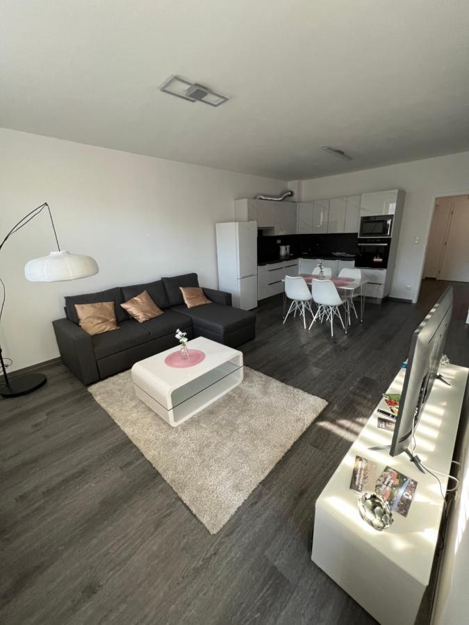 Soukromy Byt 2+Kk S Balkonem A Parkovanim Znojmo Dış mekan fotoğraf